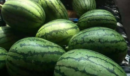 cgbl16cc吃瓜爆料,揭秘娱乐圈幕后真相