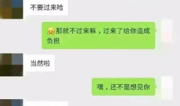 吃瓜爆料异性聊天记录,异性聊天记录背后的秘密与情感纠葛